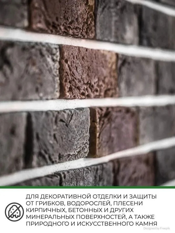 2 (5)