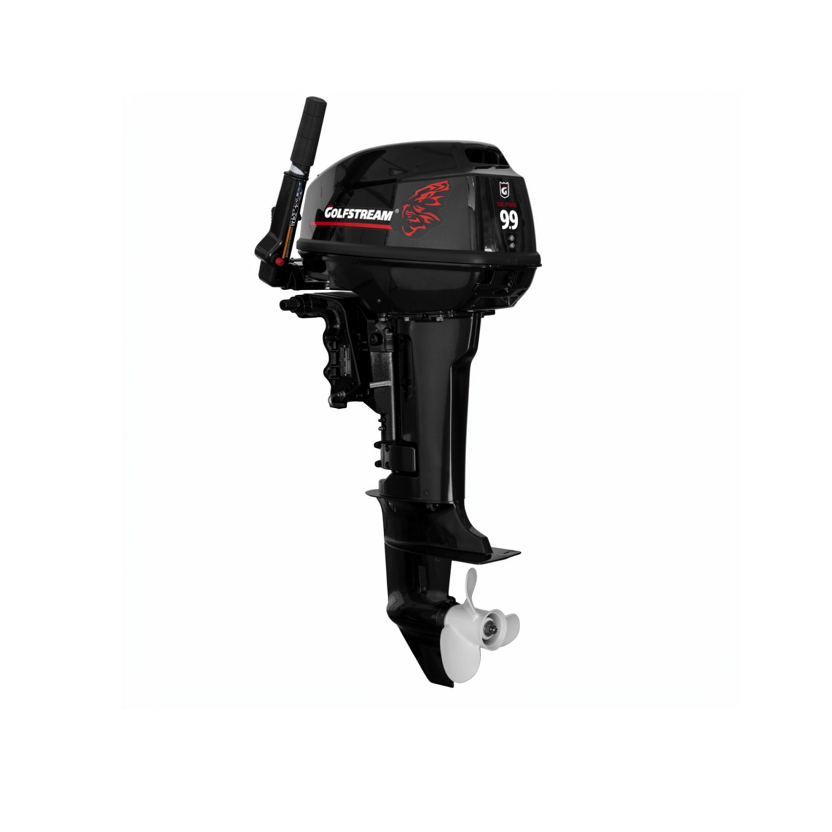 МОТОР ЛОДОЧНЫЙ GOLFSTREAM T9.9BMS USB1