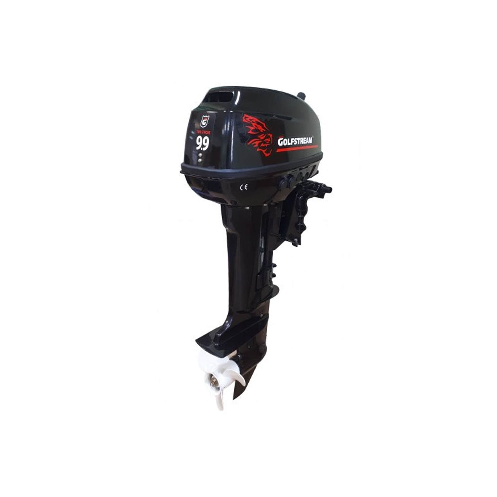 МОТОР ЛОДОЧНЫЙ GOLFSTREAM T9.9BMS USB3